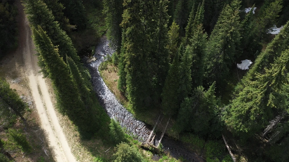 Land for Sale SW 160 AC Pack - 5605693438