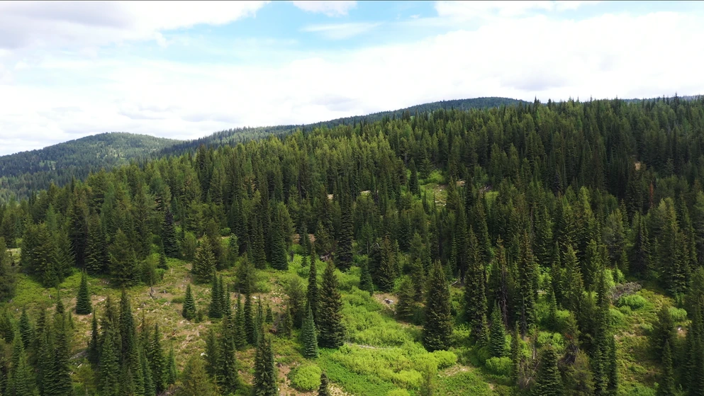 Land for Sale NW 160 AC Pack - 5605714393