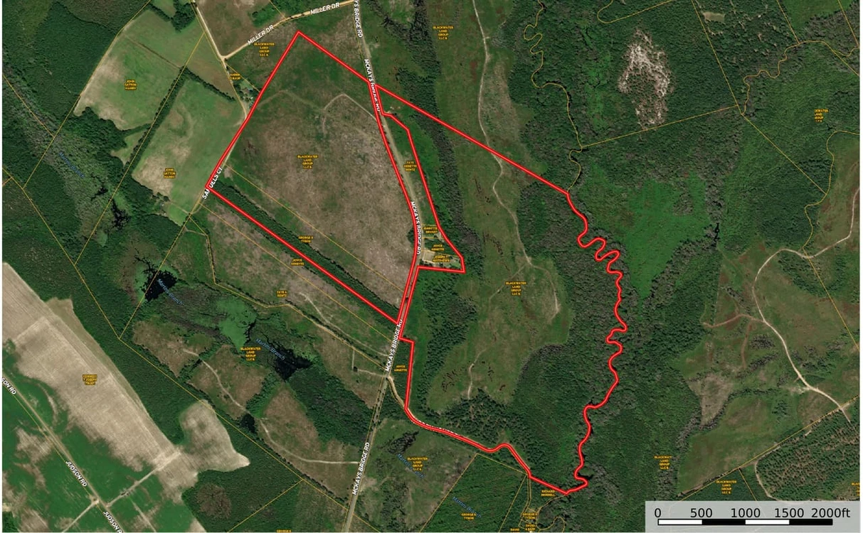 Main Listing Image