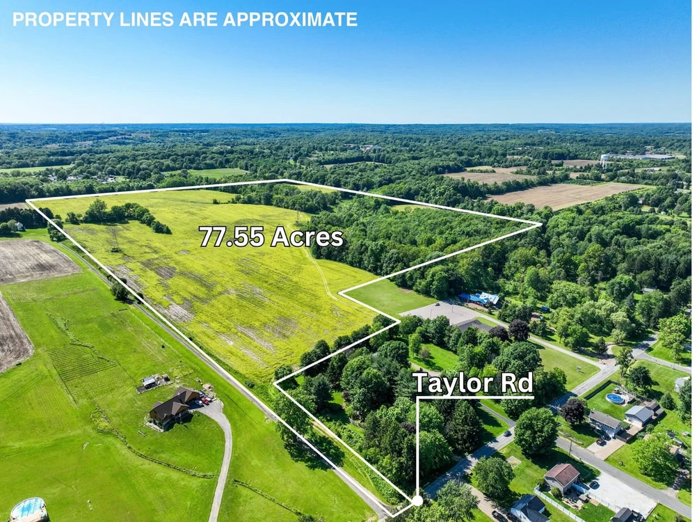 Main Listing Image