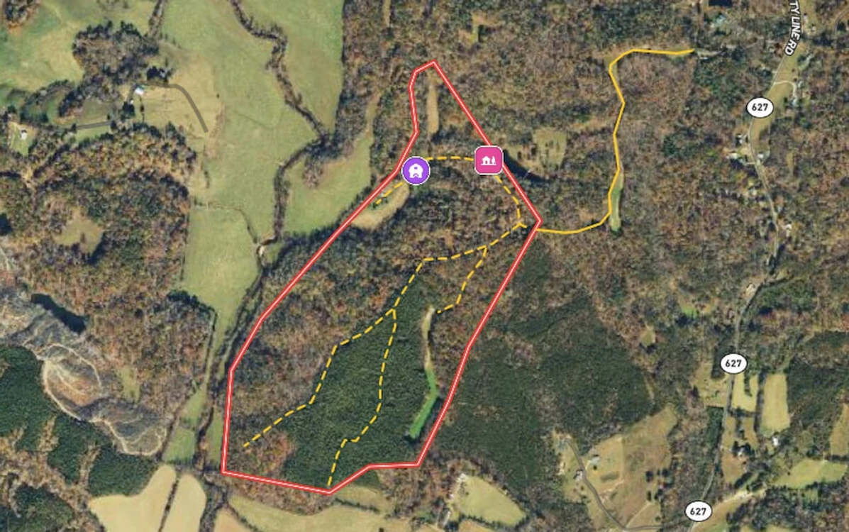 Main Listing Image