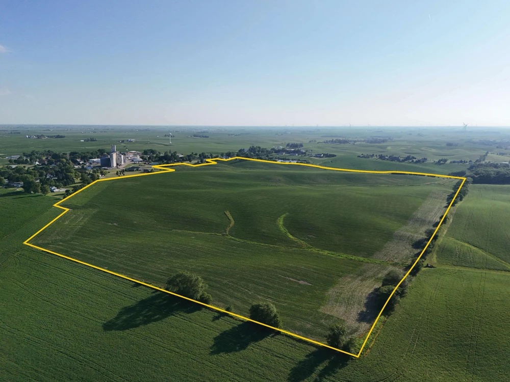 Main Listing Image