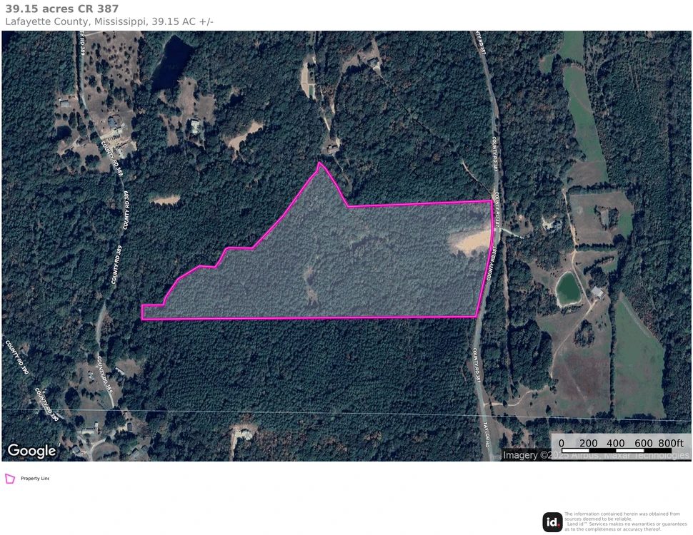 Main Listing Image