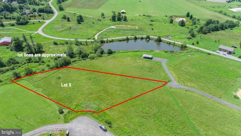 Main Listing Image