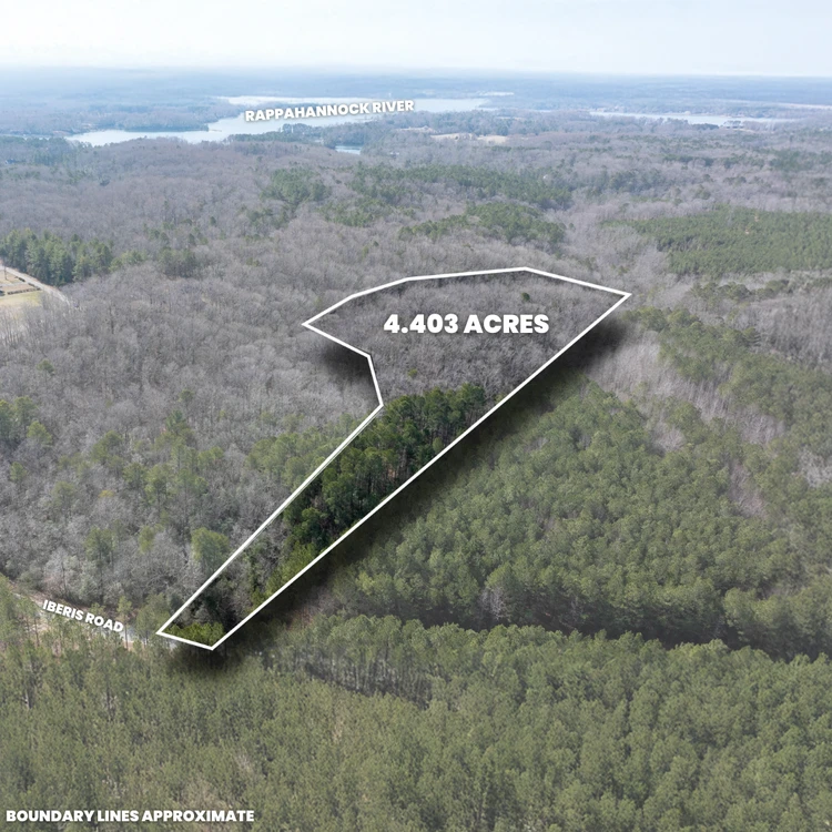 Main Listing Image