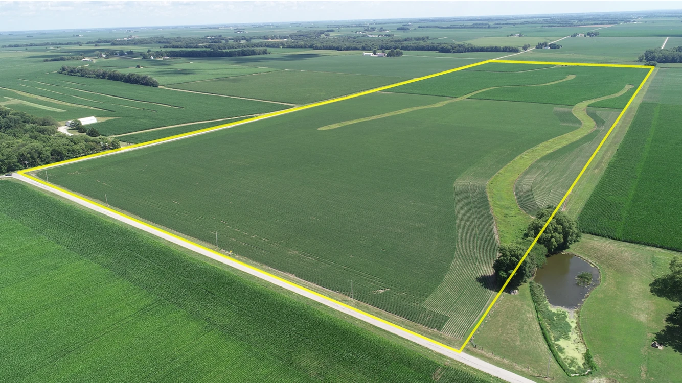 Main Listing Image