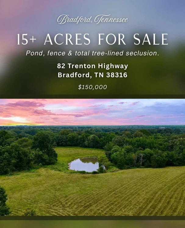 Main Listing Image