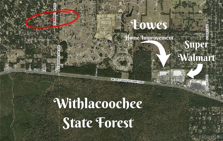 Main Listing Image