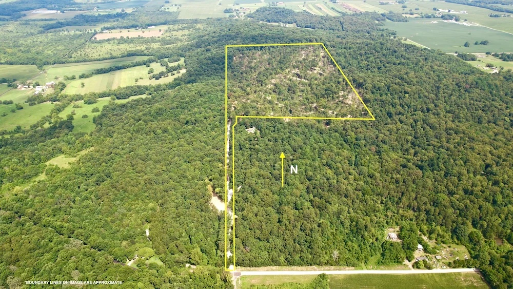 Main Listing Image