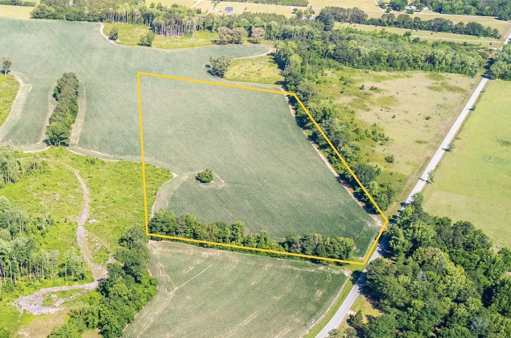 Main Listing Image