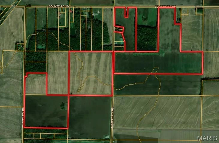Main Listing Image