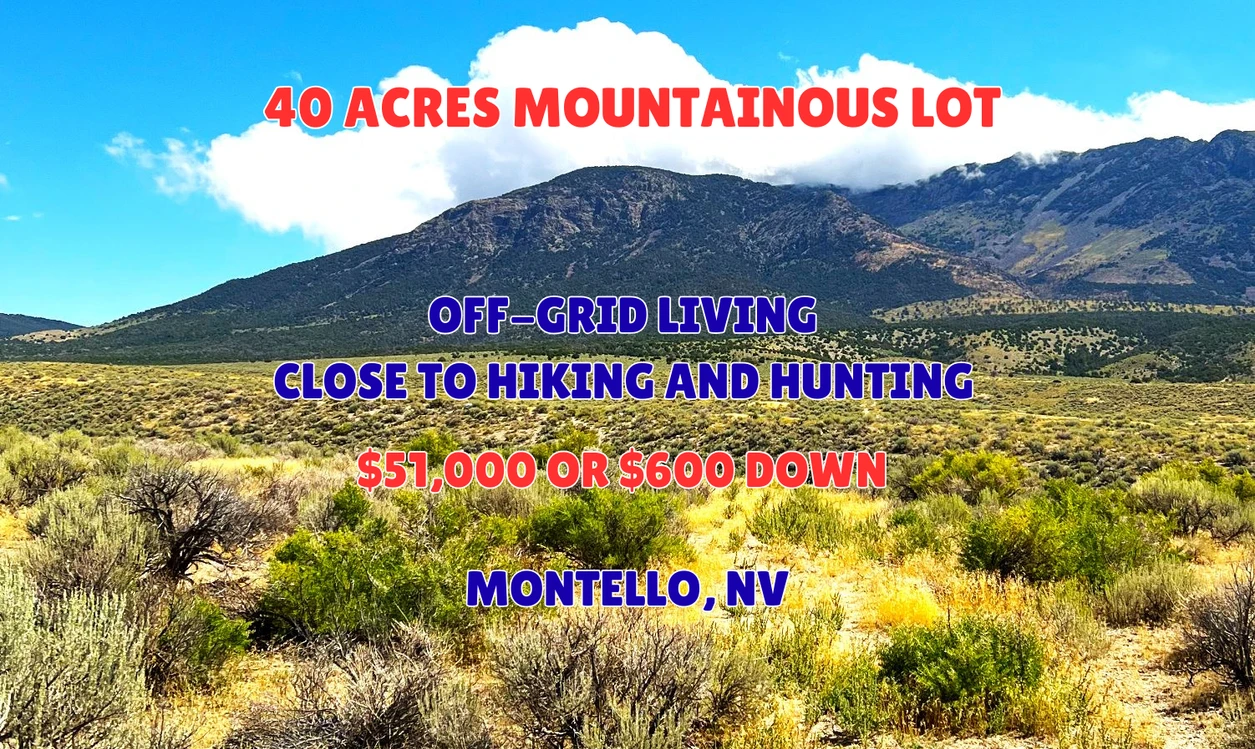 Main Listing Image