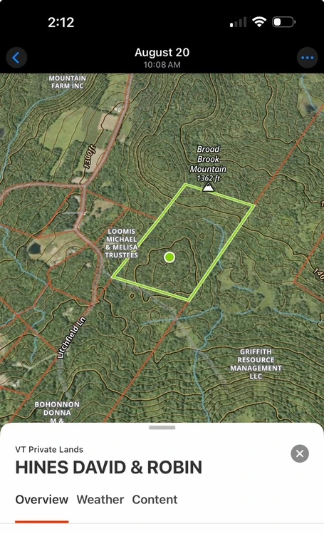 Main Listing Image