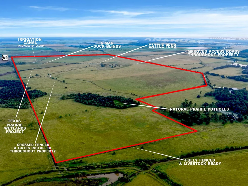 Main Listing Image