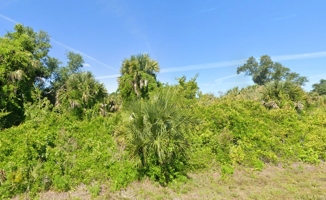 Main Listing Image