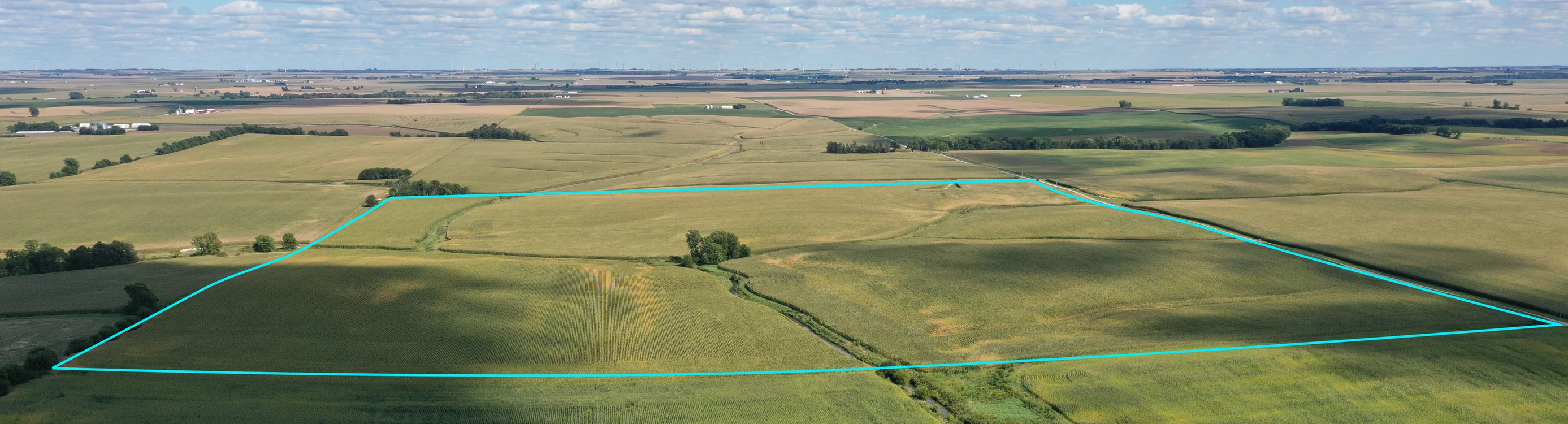 Main Listing Image
