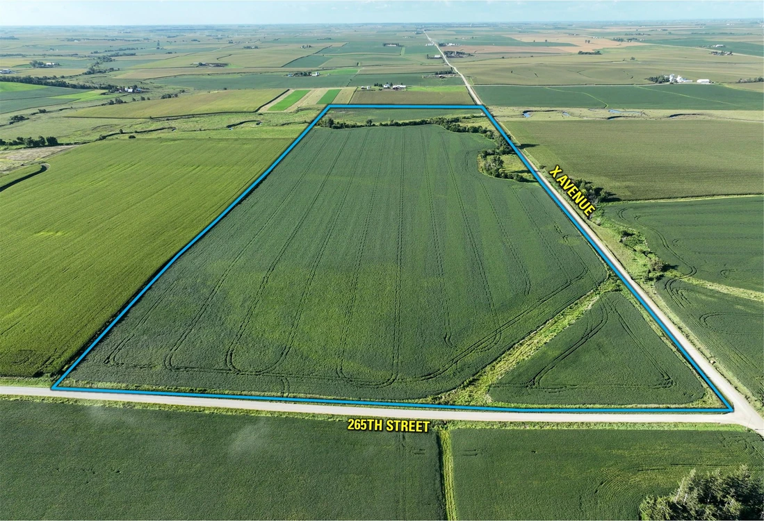 Main Listing Image