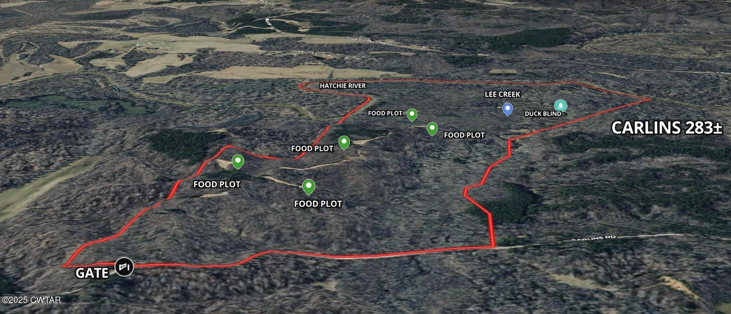 Main Listing Image