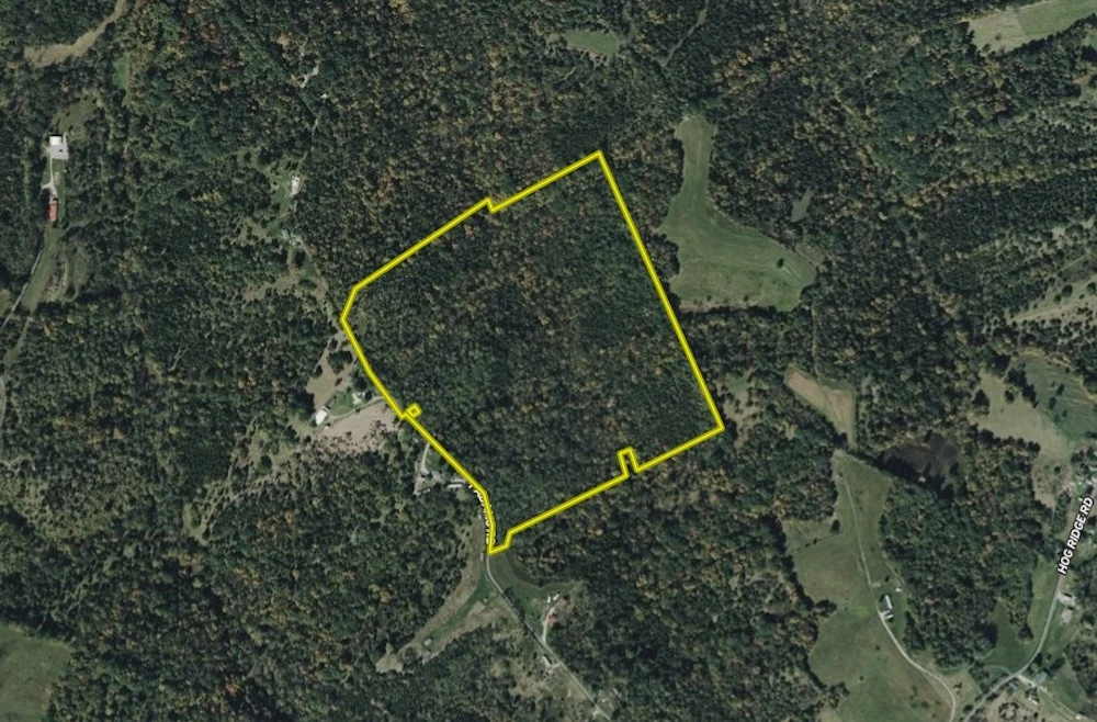 Main Listing Image