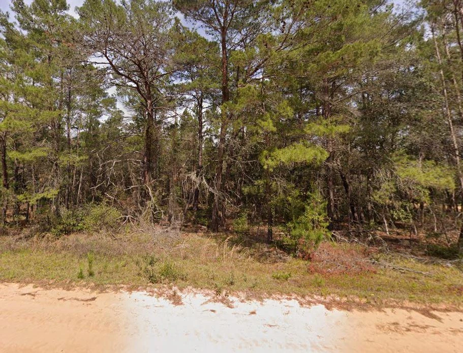 Main Listing Image