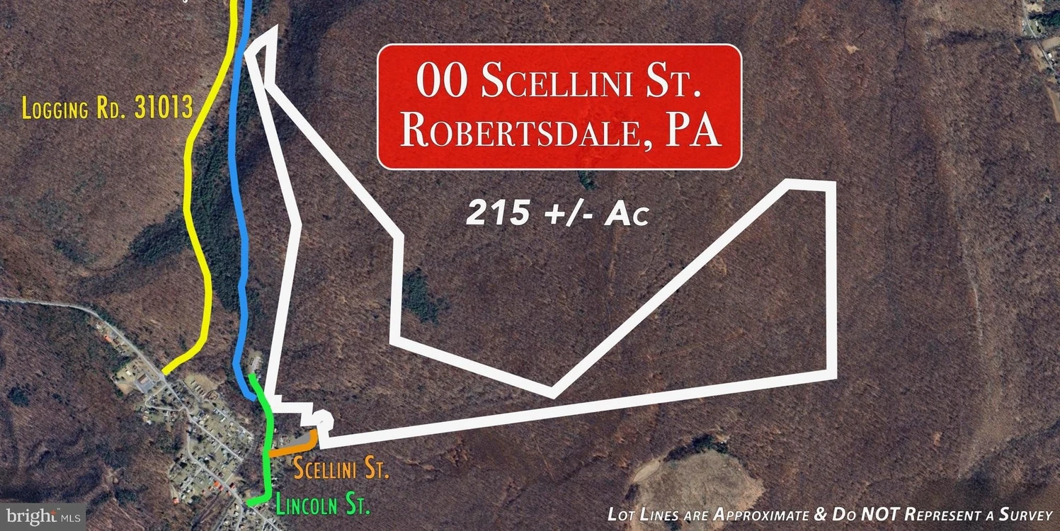 Main Listing Image