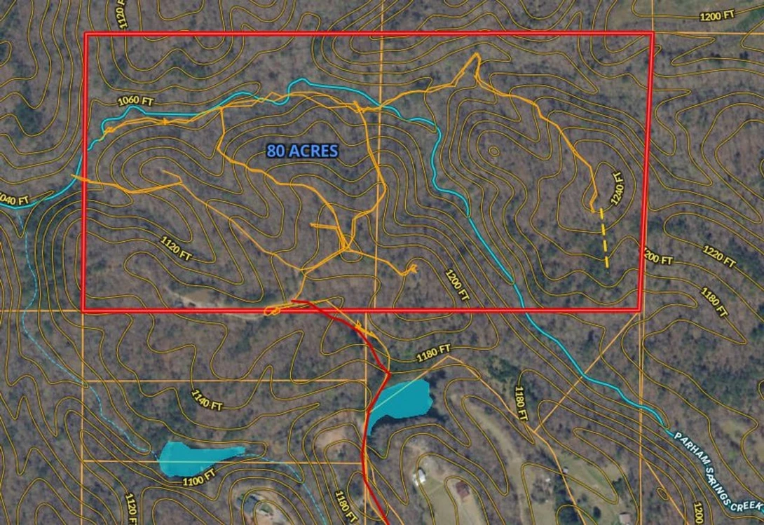 Main Listing Image