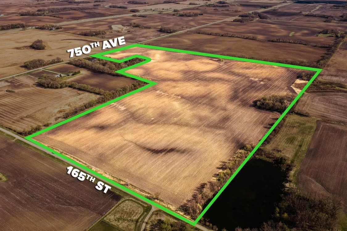 Main Listing Image