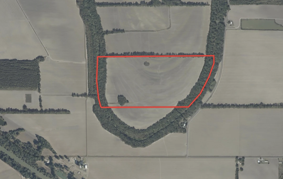 Main Listing Image
