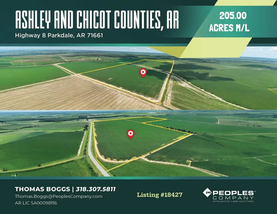 Main Listing Image