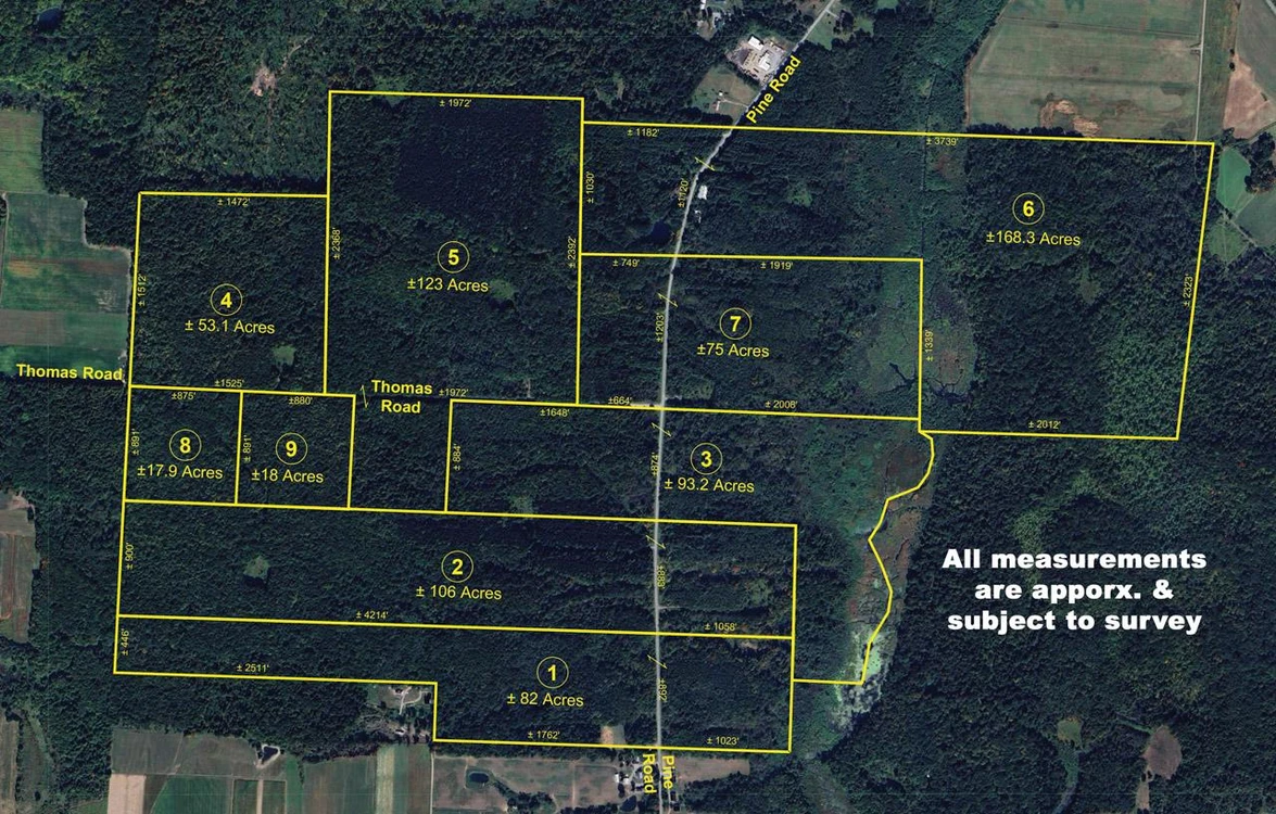 Main Listing Image