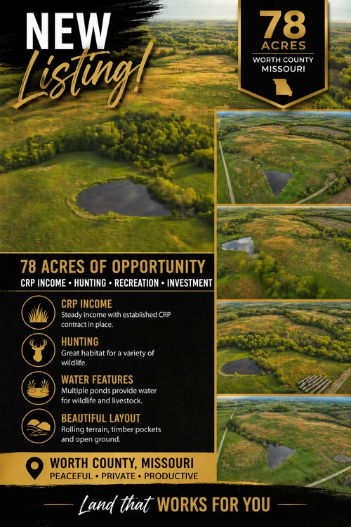 Main Listing Image