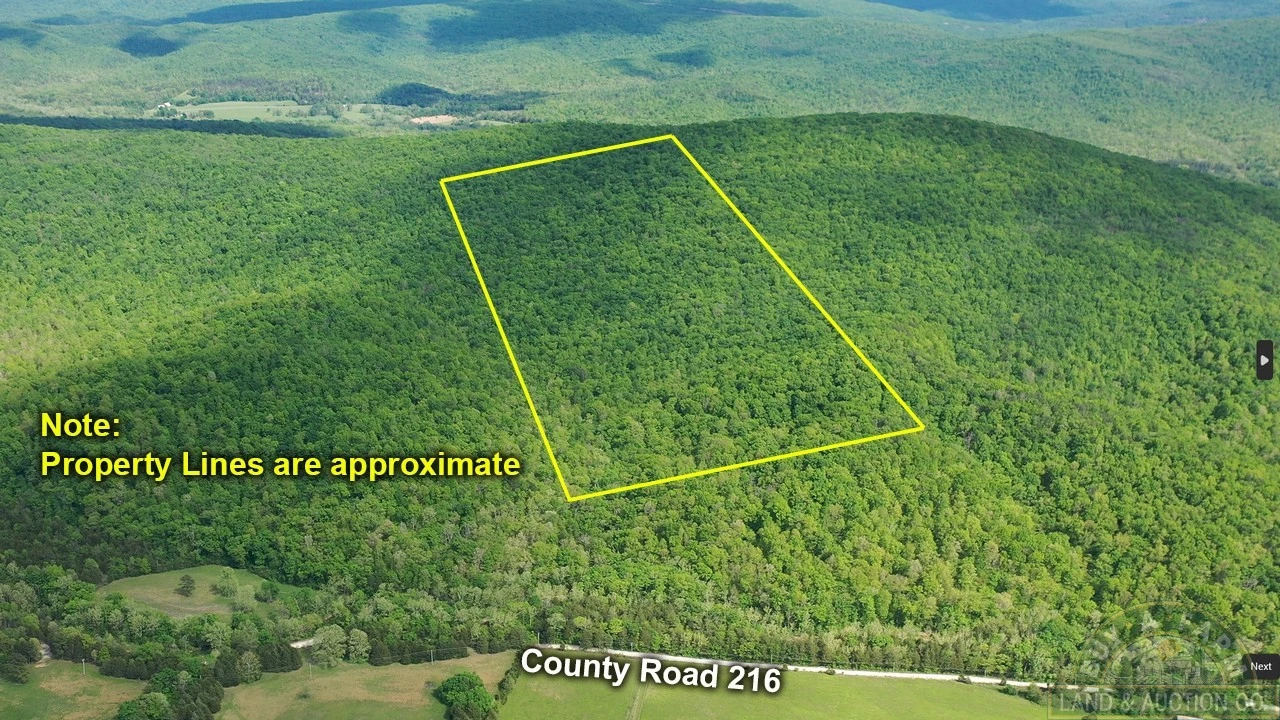 Main Listing Image