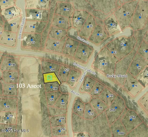Main Listing Image