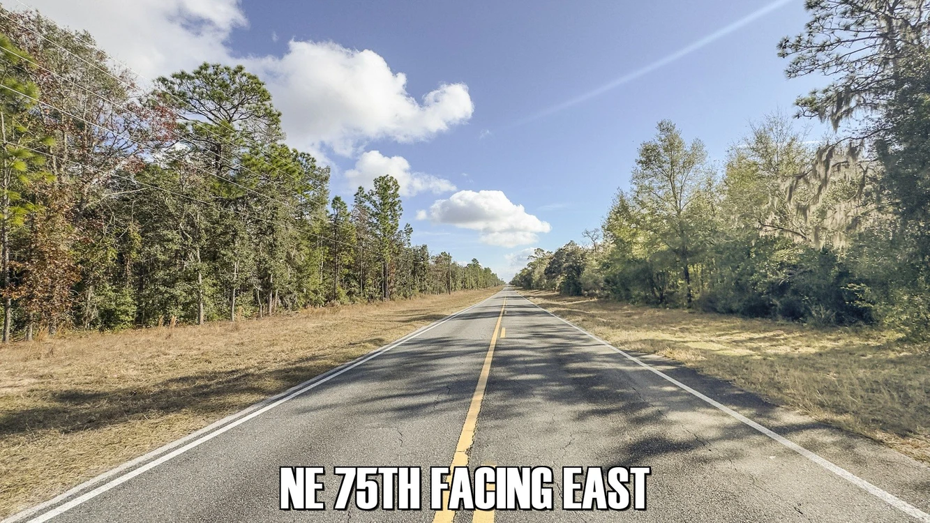 Main Listing Image