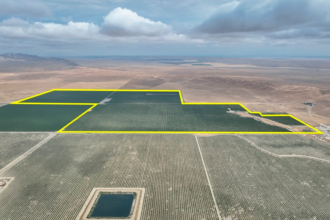 Main Listing Image