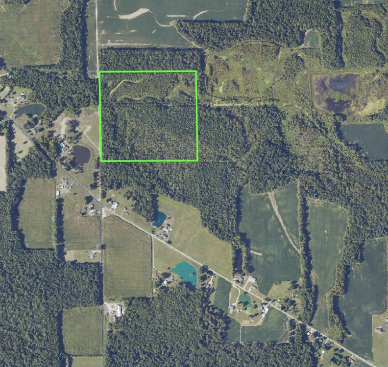 Main Listing Image