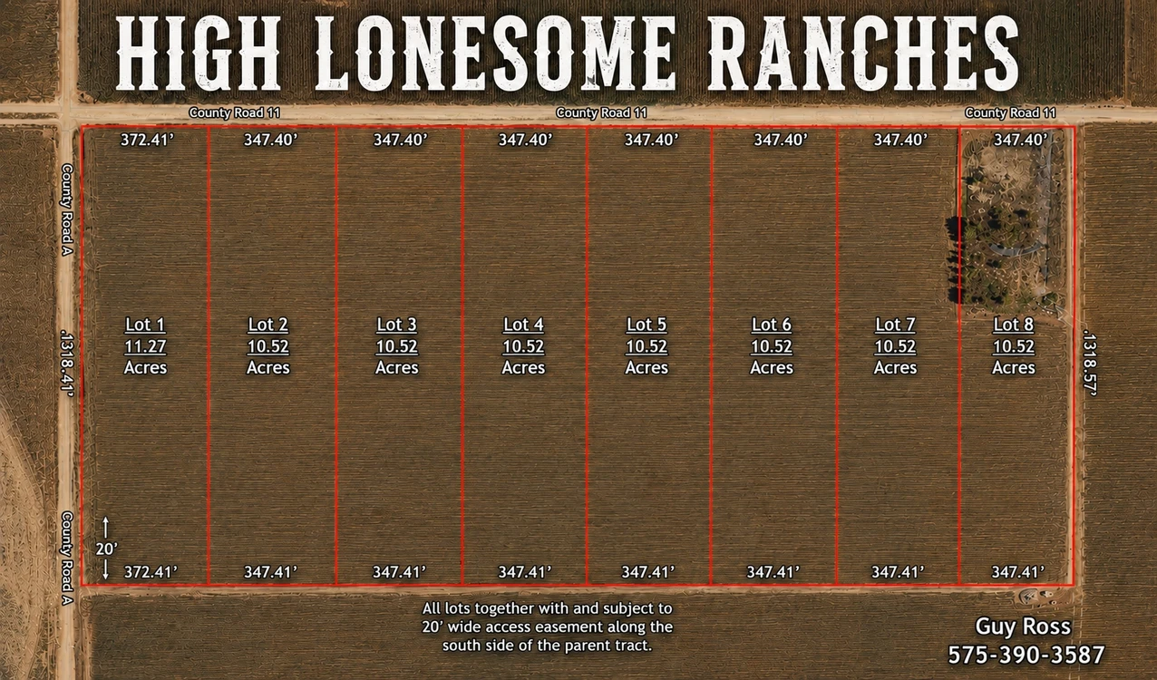 Main Listing Image