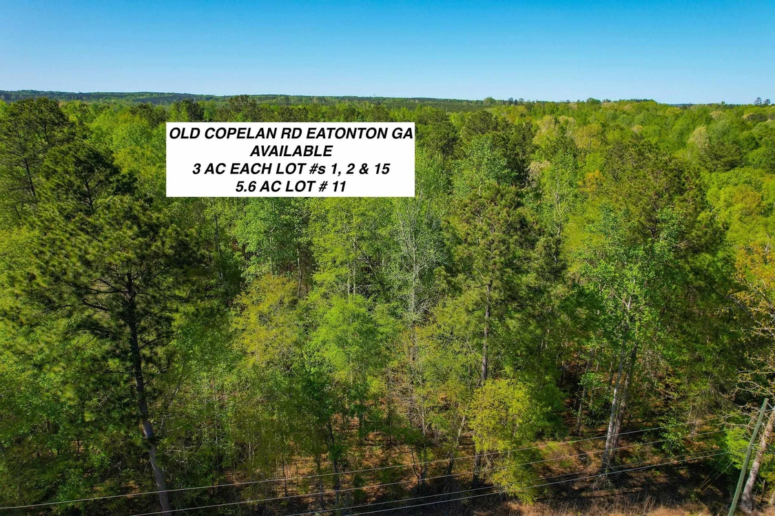 Main Listing Image