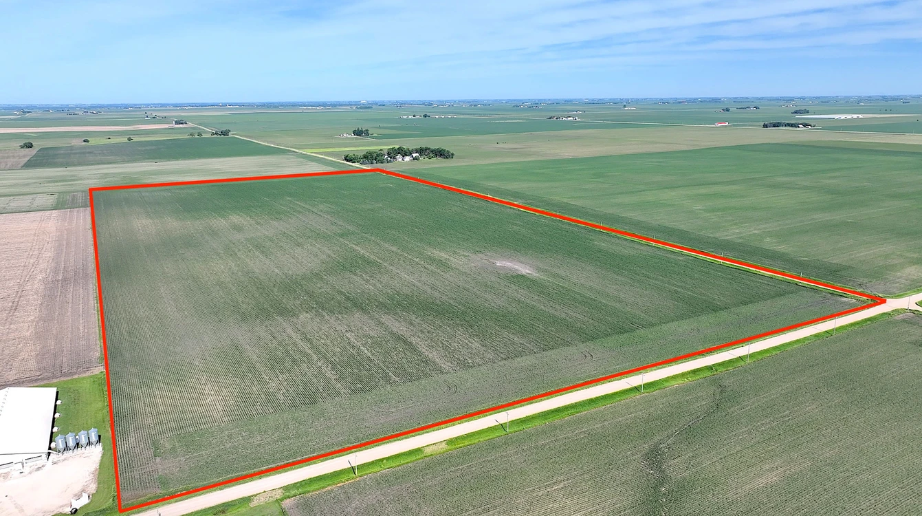 Main Listing Image
