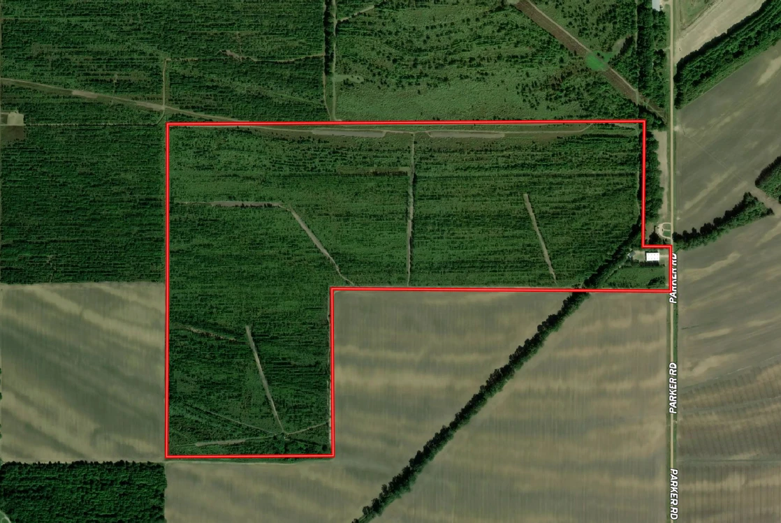 Main Listing Image