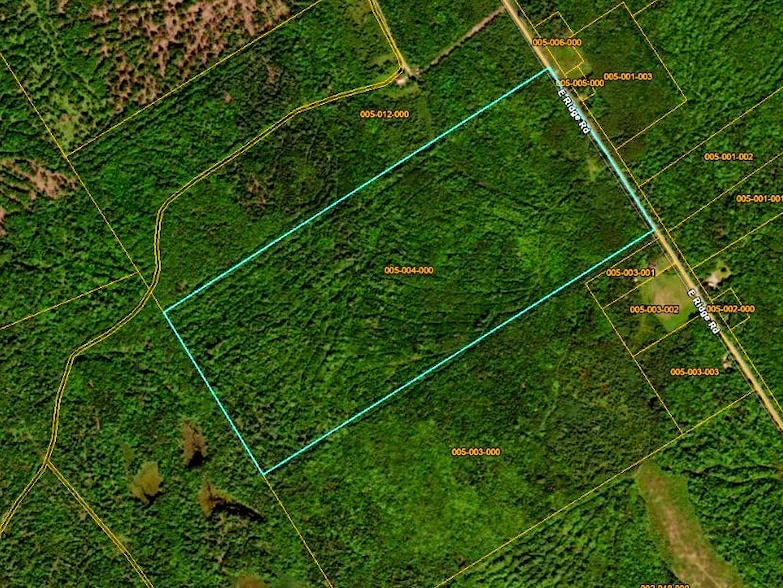 Main Listing Image