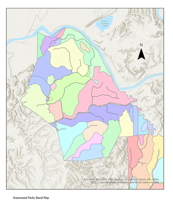 Main Listing Image