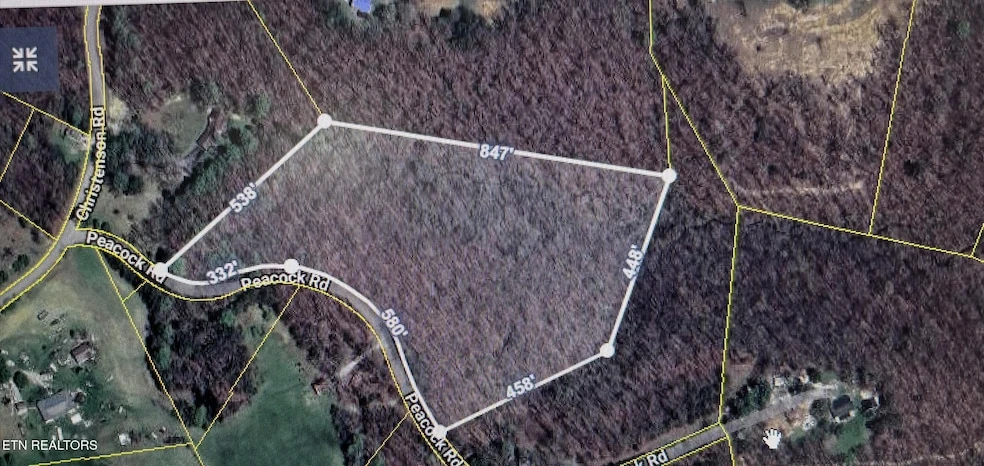Main Listing Image