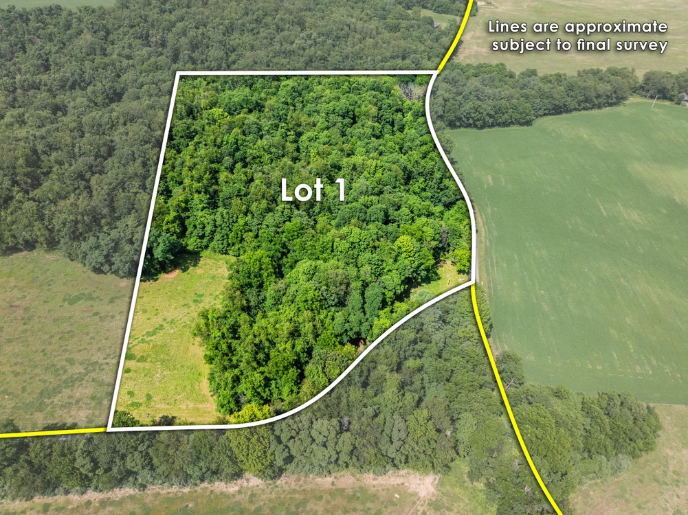 Main Listing Image