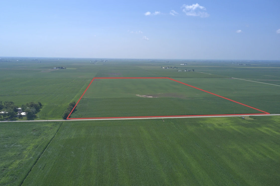Main Listing Image