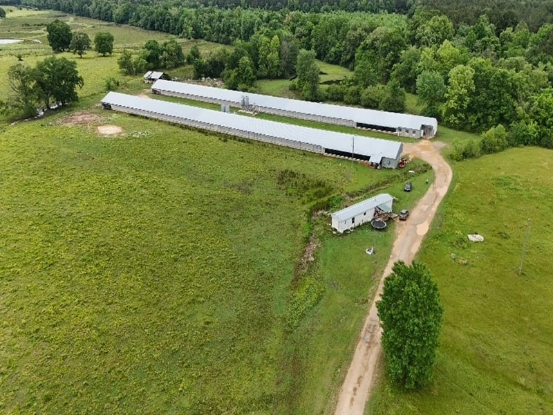 Main Listing Image