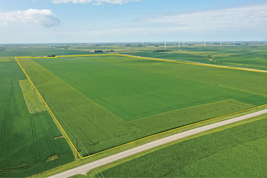 Main Listing Image