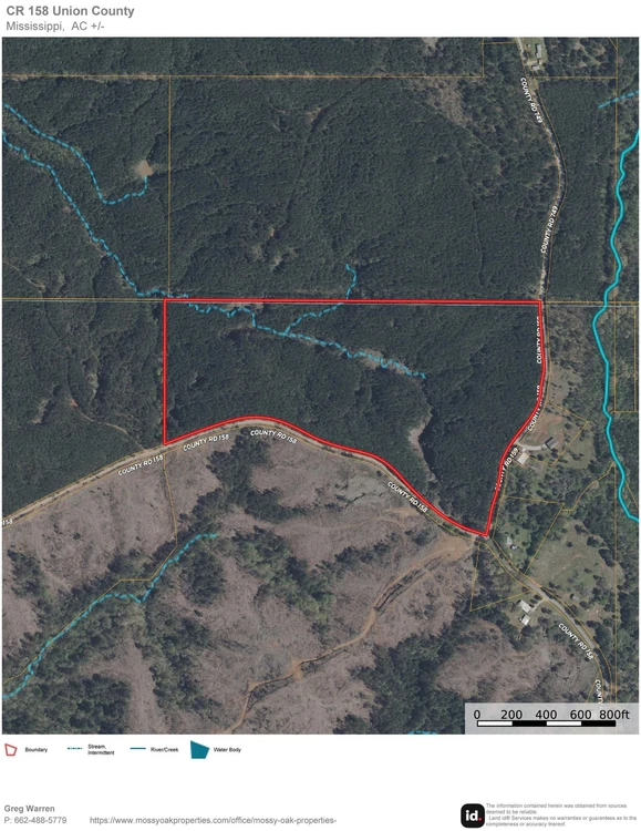 Main Listing Image