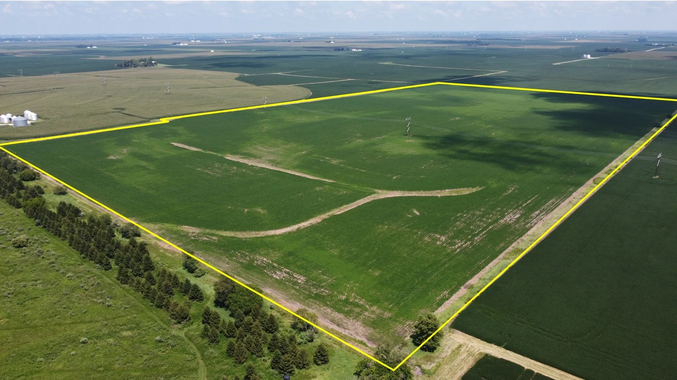 Main Listing Image