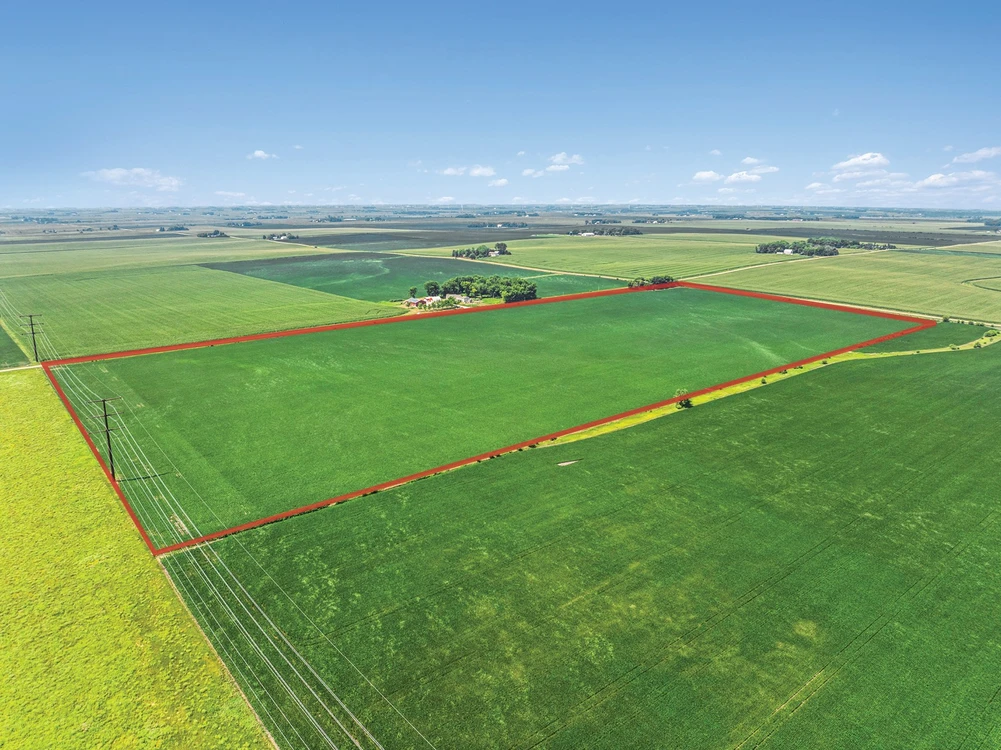 Main Listing Image